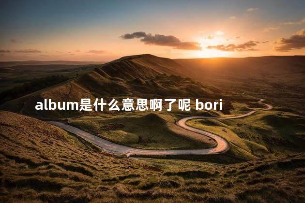 album是什么意思啊了呢 boring是什么意思中文